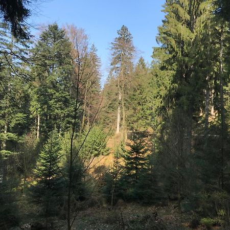Ferienwohnung Hesselbach Oberkirch Kültér fotó