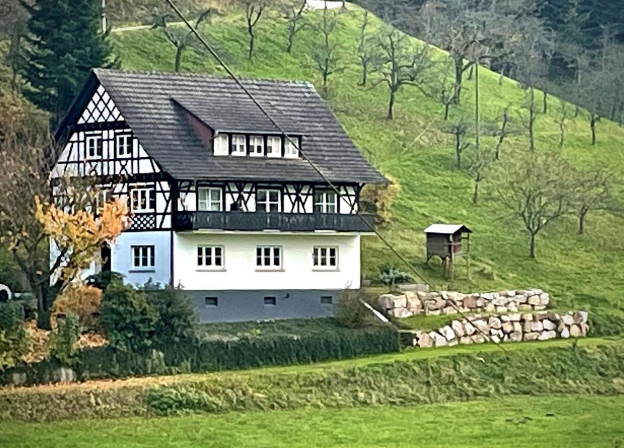 Ferienwohnung Hesselbach Oberkirch Kültér fotó