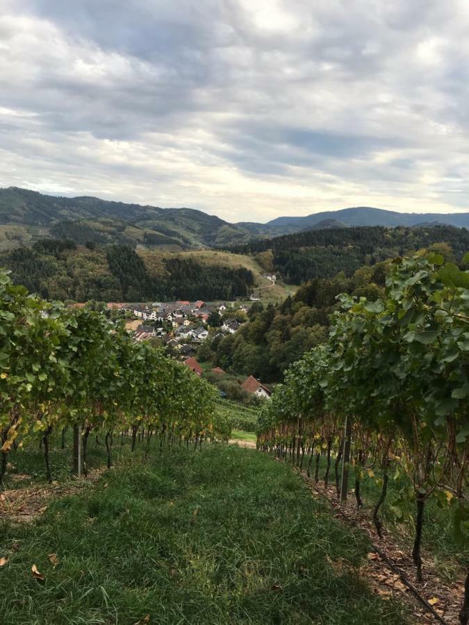 Ferienwohnung Hesselbach Oberkirch Kültér fotó