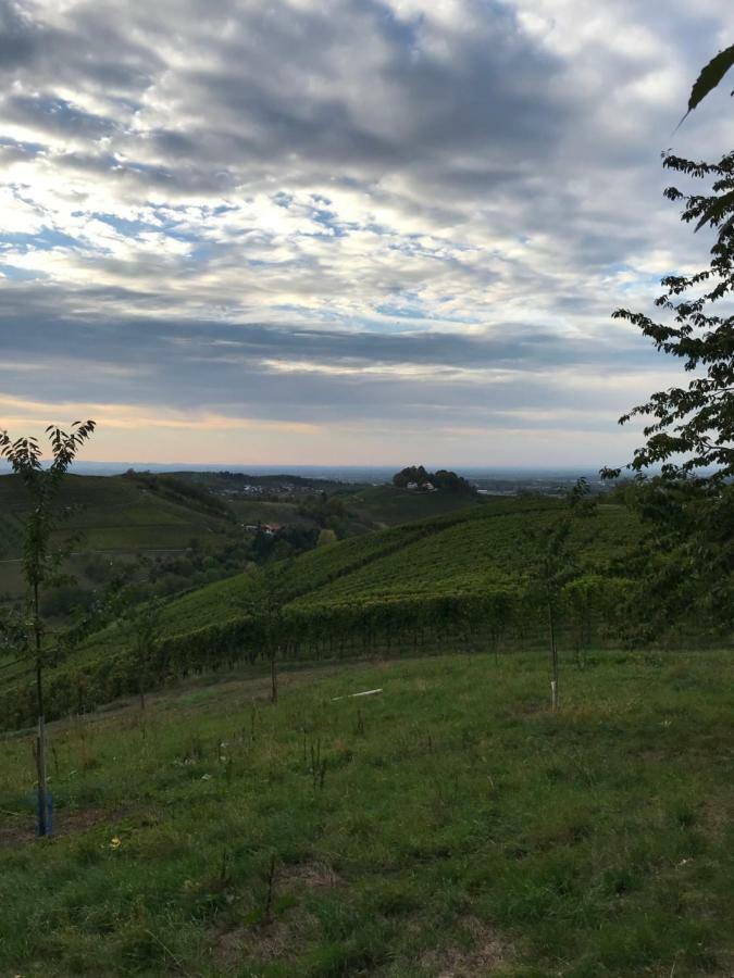 Ferienwohnung Hesselbach Oberkirch Kültér fotó