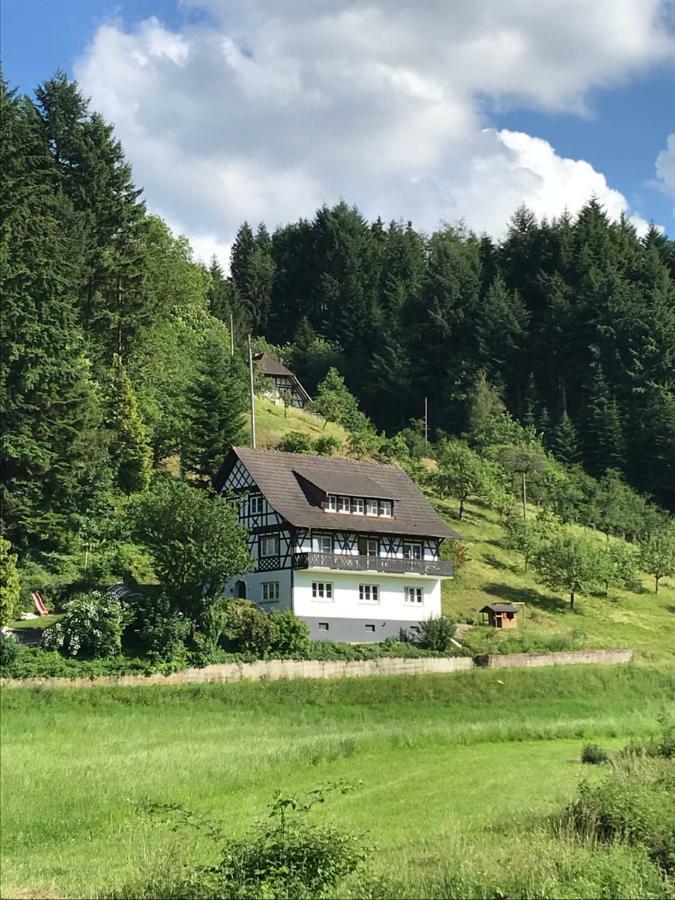 Ferienwohnung Hesselbach Oberkirch Kültér fotó